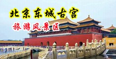 9191大鸡巴美女中国北京-东城古宫旅游风景区